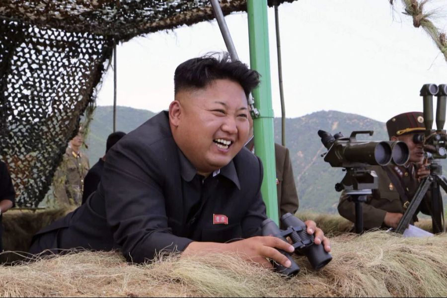 Kim Jong-un läuft mit seiner Hilfe allerdings Gefahr, im eigenen Land eine Meuterei zu erleben.