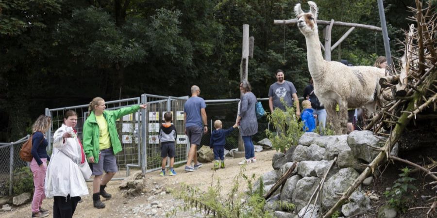 Nach dem Vollbrand ist «Johns kleine Farm» definitiv Geschichte. (Archivbild)