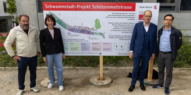 Schwammstadt