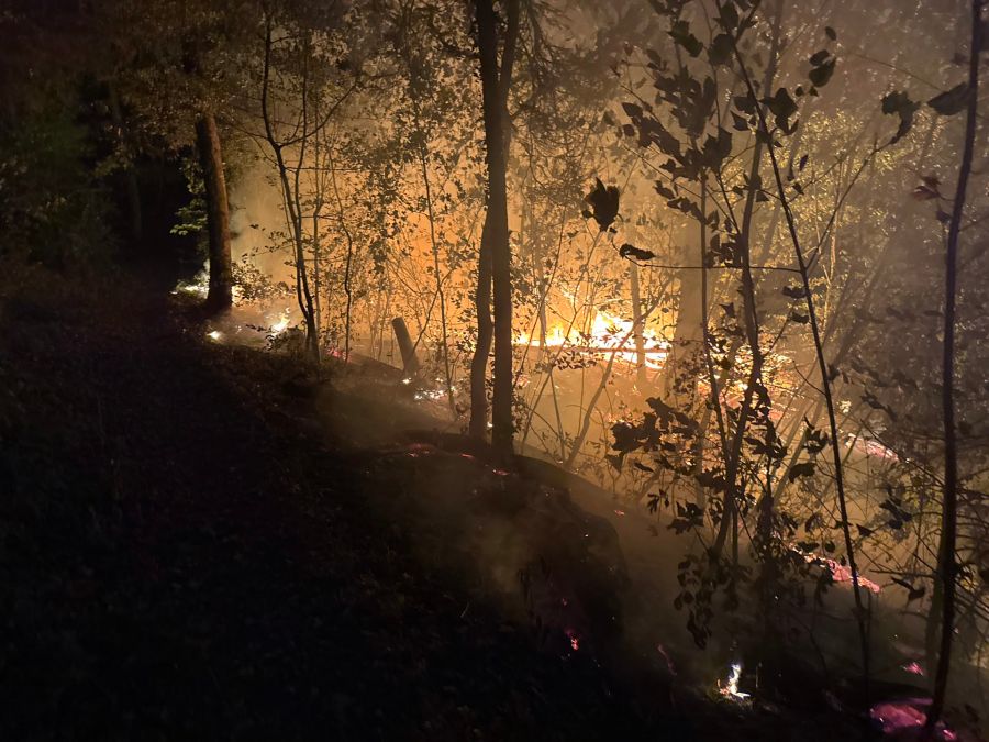 Die Feuerwehr Chestenberg machte diese Fotos vom Waldbrand in Möriken AG.