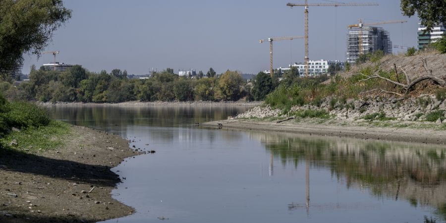 Donau Ungarn Dürre