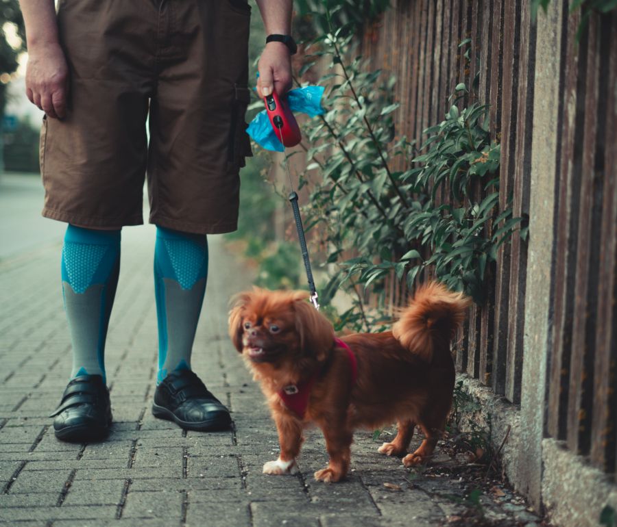 Der Gemeinderat beschloss deshalb eine neue Regelung für Hundehalter.