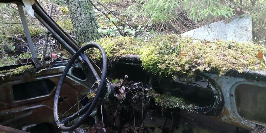 Autofriedhof Kyrkö Mosse