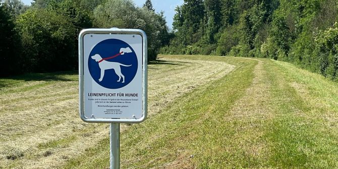 Leinenpflicht Hunde Signalisation Schild