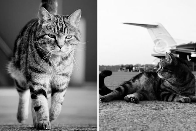 Flughafen Büsi Maverick Belp