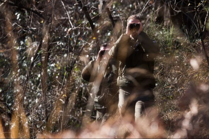 wolf wildhüter wolfsregulierung