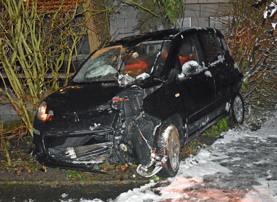 Das Fahrzeug kam am Ende in einem Garten zum Stillstand.