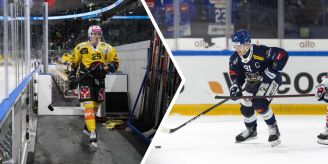 Saisonende für Ryser - SC Bern holt zwei Spieler mit B-Lizenz Saisonende für Ryser - SC Bern holt zwei Spieler mit B-Lizenz