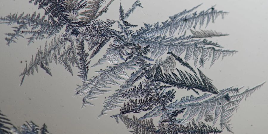 Kratzer, Staub und Rillen im Glas dienen als Startpunkt für das Wachstum der Eisblumen. (Archivbild)