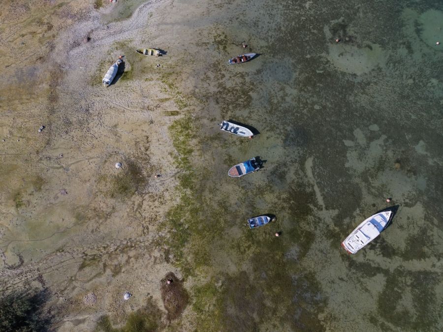 Am Ufer des Bodensees liegen zahlreiche Boote auf Grund.