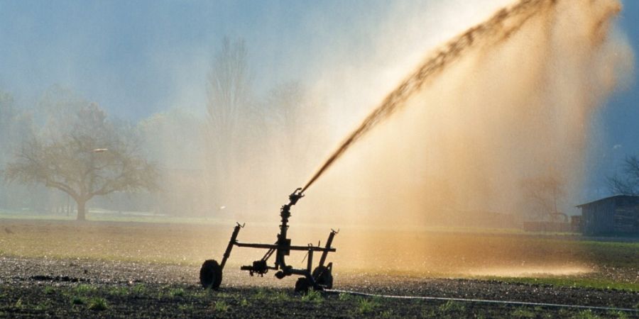 Ausgelaufene Gülle hat am Donnerstag in Nesslau zu einer Gewässerverschmutzung geführt. (Symbolbild)