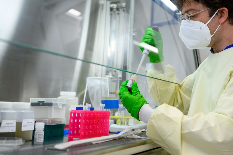 Ein internationales Forschungsteam fand nun die Ursache für die Fälle heraus.