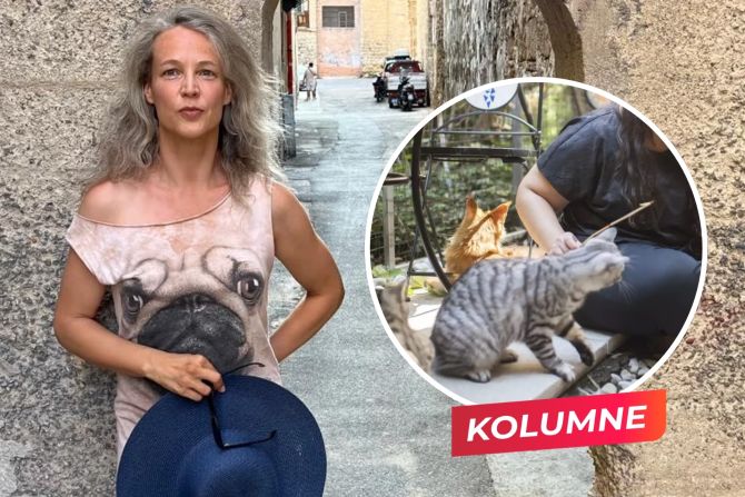 Verena Brunschweiger