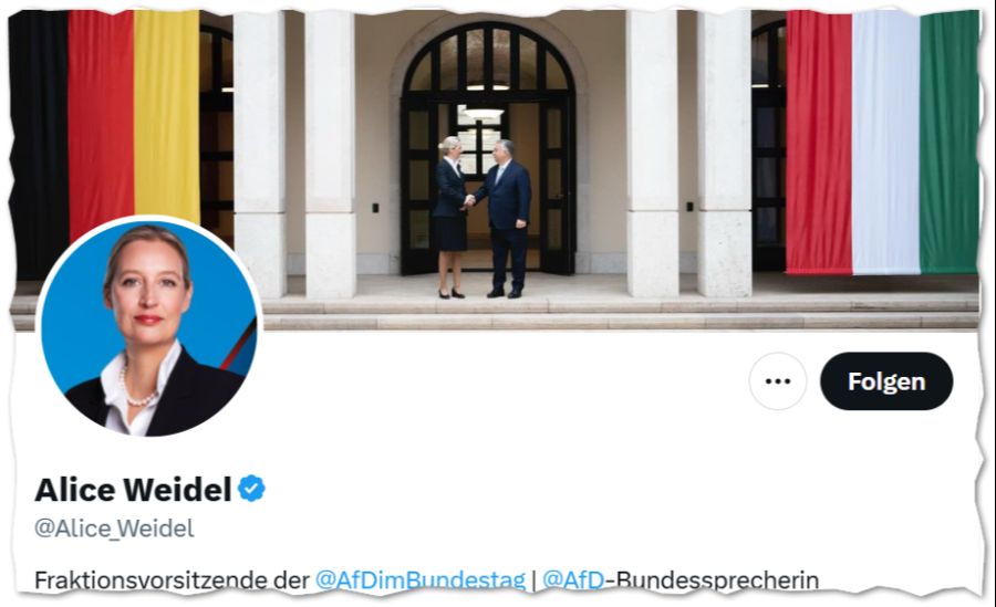 Alice Weidel Viktor Orbán