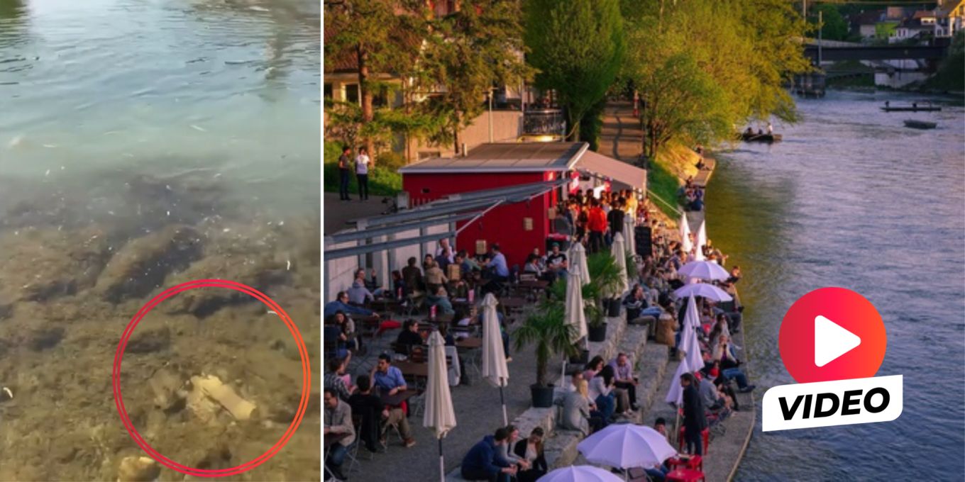 Grüsel-Alarm: Vor Oltner Bistro schwimmt Abwasser in Aare | Nau.ch