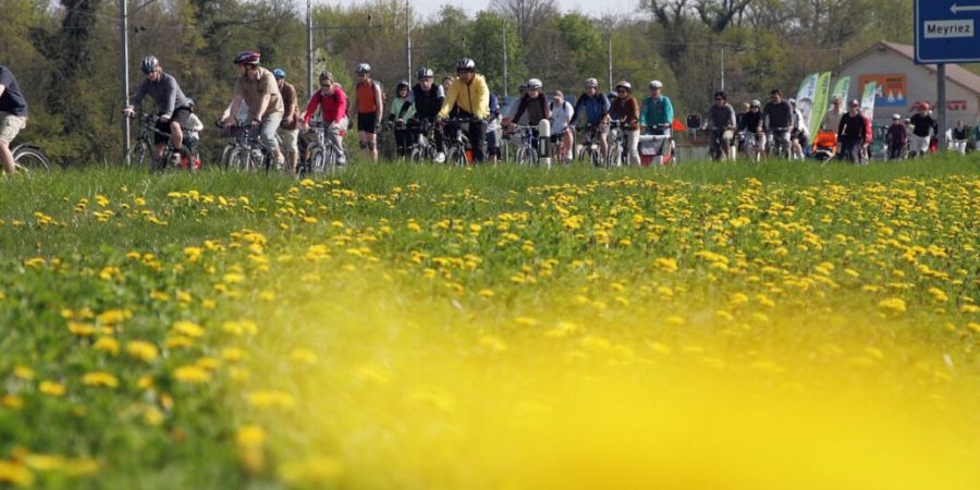 Wenn auf Kantonsstrassen so viele Velofahrerinnen und Velofahrer unterwegs sind, dass bedeutet das: Es ist Slowup-Zeit. (Archivbild aus dem Jahr 2008)