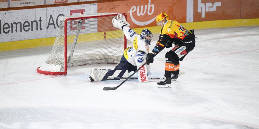 sc bern