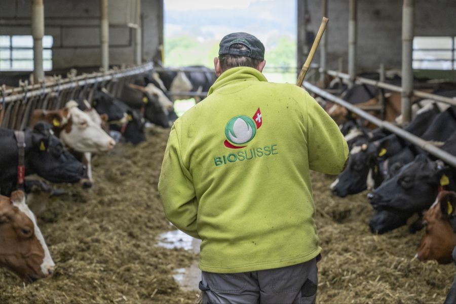 Mit einem Bio-Marktanteil von 12,3 Prozent bleibt die Schweiz «Bio-Weltmeisterin». (Symbolbild)