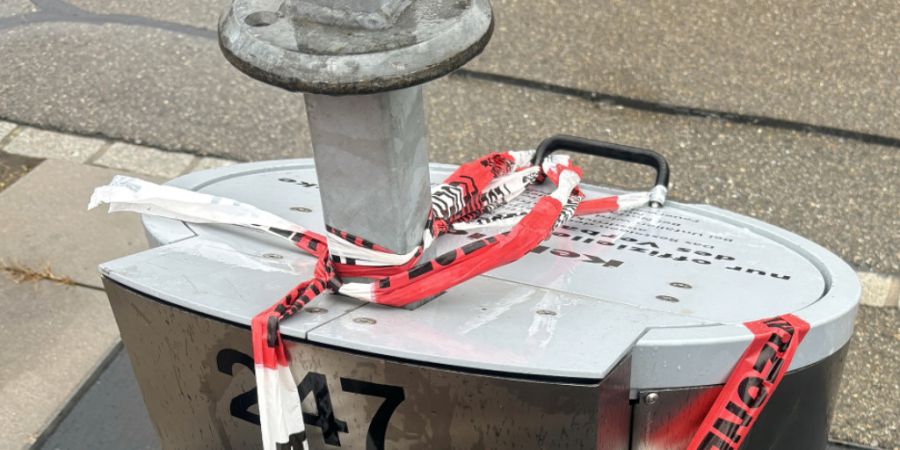 Drei Kinder setzten in Diessenhofen einen Unterflurcontainer in Brand.