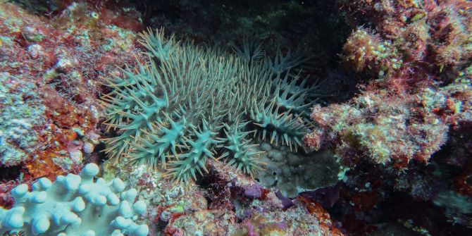 Great Barrier Reef