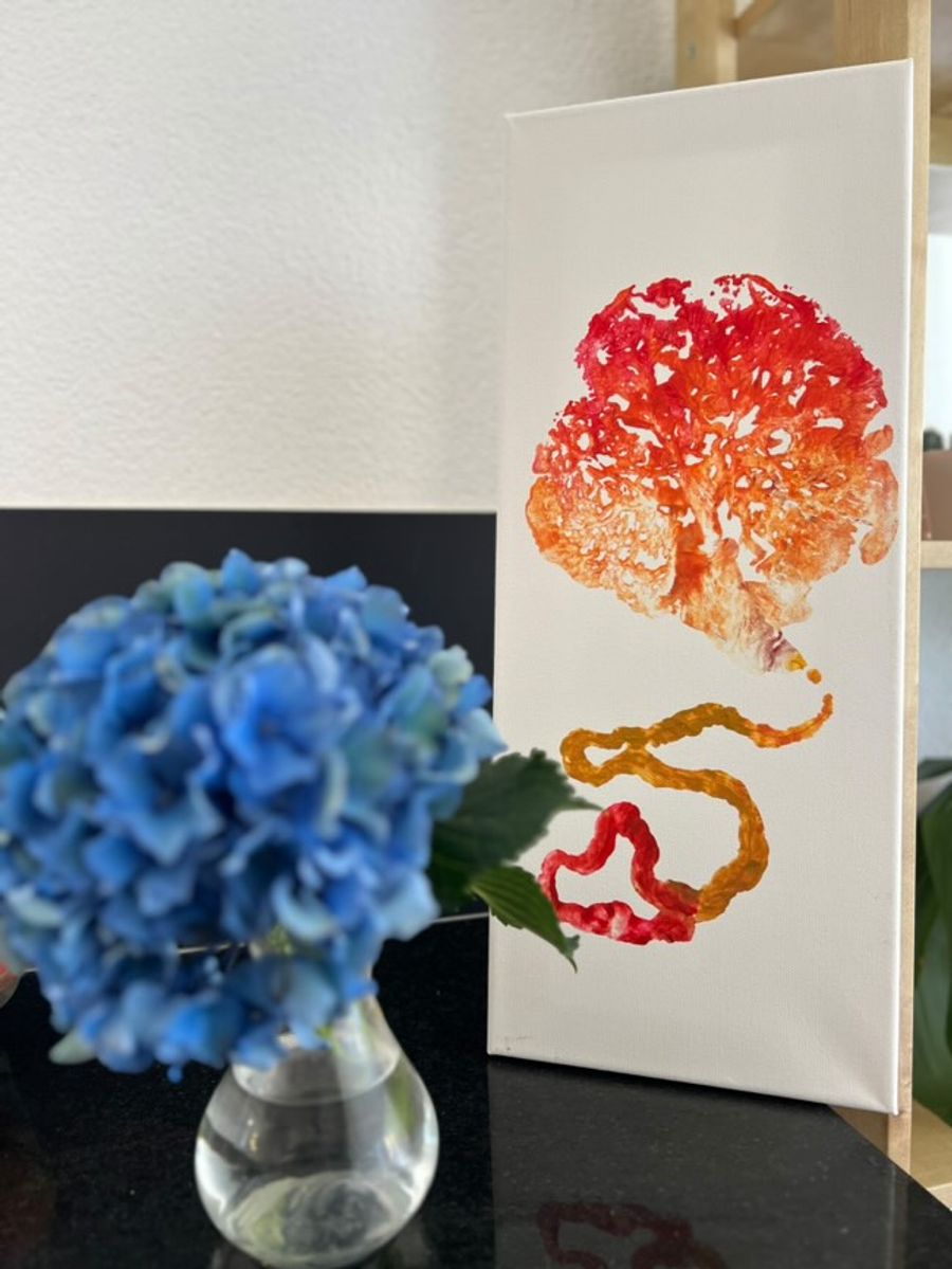 Die Influencerin plant, ihre Plazenta wieder mit Acryl anzumalen, um davon einen Abdruck zu machen.