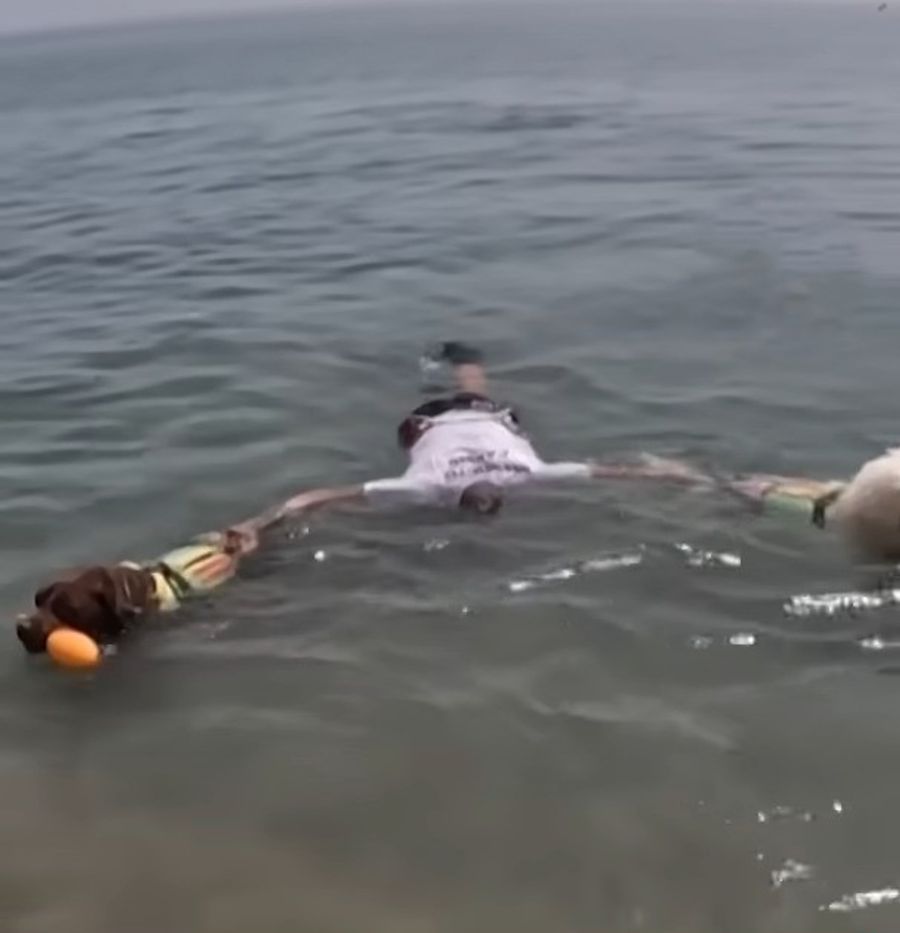 Gemeinsam mit vier Labradoren hat er gelernt, hilflose Schwimmer an Land zu ziehen.