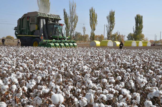 Die Produktion von Baumwolle ist extrem wasserintensiv – für ein T-Shirt werden rund 2700 Liter benötigt, genug Trinkwasser für fast drei Jahre. Baumwolle