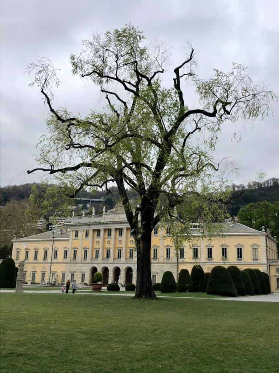 In der Villa Olmo residierten einst Aristokraten und die reiche Oberschicht.