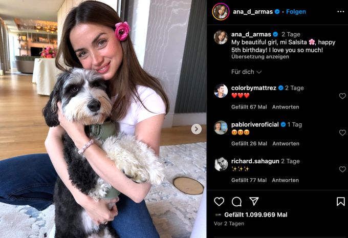 Ana de Armas feiert den Geburtstag ihres Hundes, doch von wem mögen wohl die Blumen sein? ana de armas