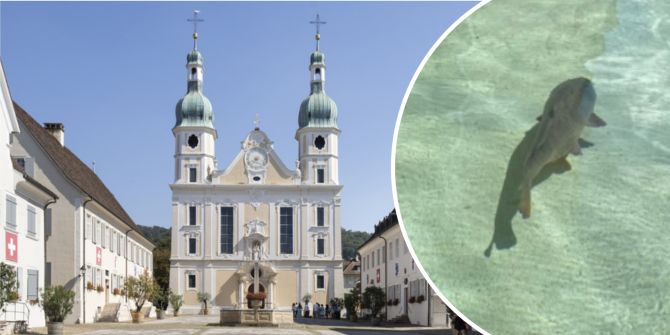 dom arlesheim