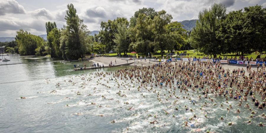 Zürcher Seeüberquerung Schwimmer Schwimmerinnen