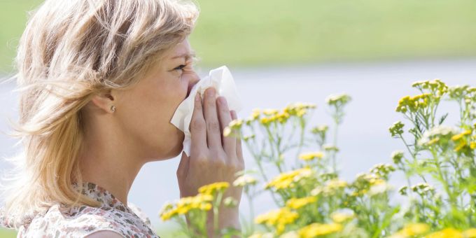 Nervig - Das sind die 5 häufigsten Allergien