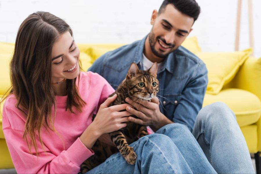 Mann und Frau mit Bengalkatze