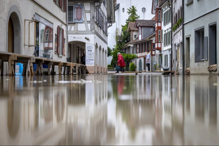 Grund dafür sind die Überschwemmungen vor rund zwei Wochen. Dank diesen sind enorm viele sogenannte Überschwemmungsmücken zur selben Zeit geschlüpft.