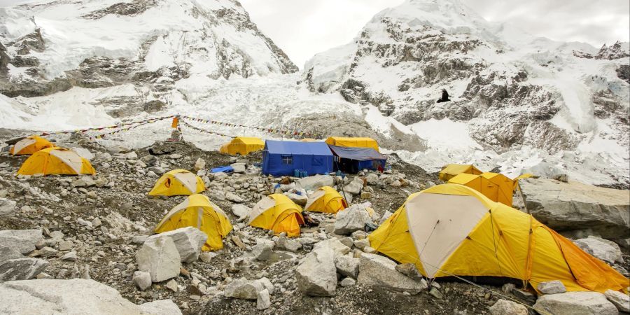 Base Camp Himalaya gelb