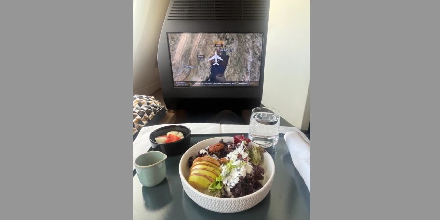 Tablett und TV im Flugzeug. Etihad.