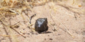 asteroid 2018 la
