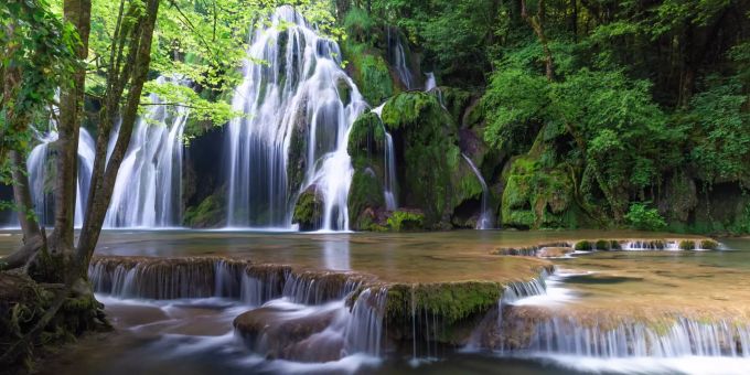 Fotograf*In des Tages - Eine Leidenschaft für Natur und Wildlife