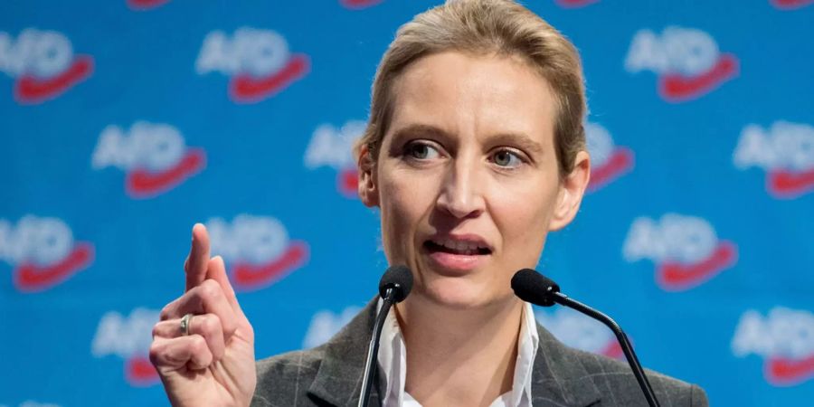 Alice Weidel bewirbt sich beim Bundesparteitag der Alternative für Deutschland mit einer Rede.