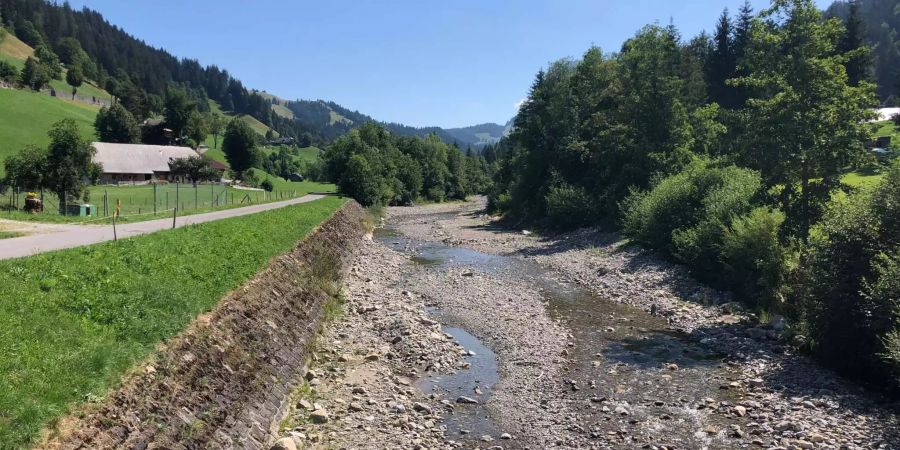 Weiter Oben im Eriz hat die Zulg nicht mehr Wasser.