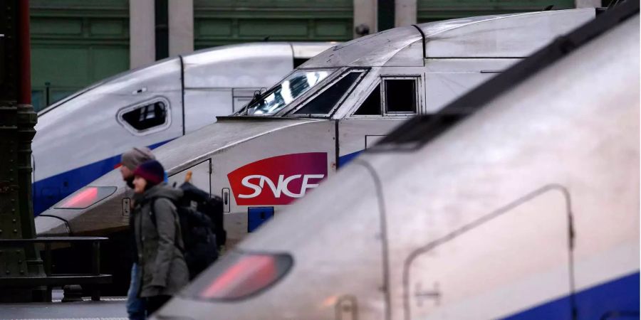 Eisenbahngewerkschaften haben sich gegen die Bahnreform gewehrt.