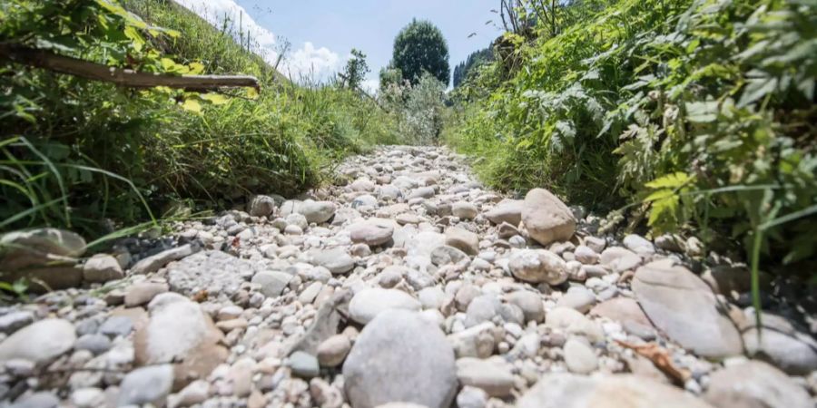 Nicht nur der Mensch, auch die Schweizer Natur leidet unter der Trockenheit: Bäche und Felder sind völlig ausgetrocknet.