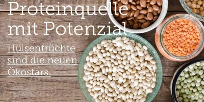 Dürnten - Proteinquelle mit Potenzial