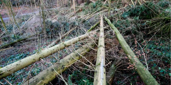 nach den orkanartigen Böen von «Burglind» fegt nun auch der Sturm «Evi» durch die Schweiz. nach den orkanartigen Böen von «Burglind» fegt nun auch der Sturm «Evi» durch die Schweiz.