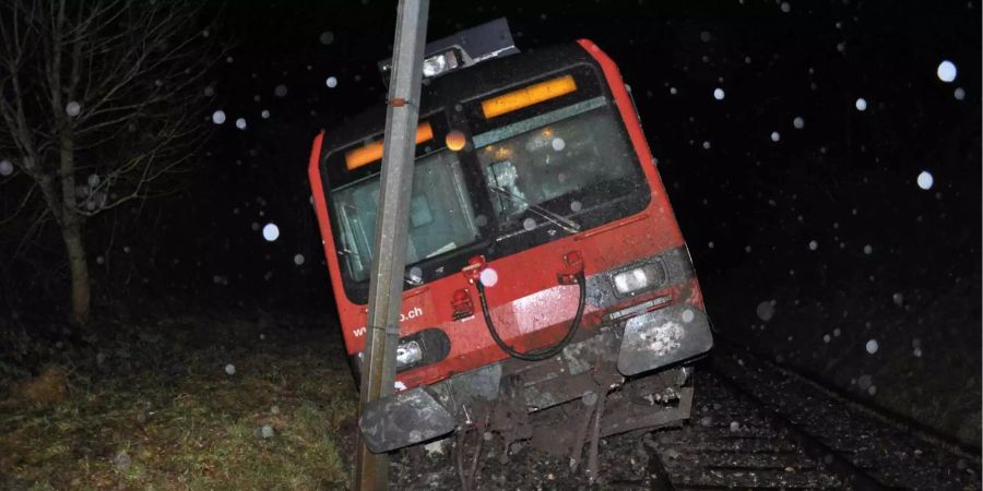 Im Zug befanden sich zum Unfallzeitpunkt der Lokführer und eine Passagierin.