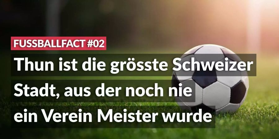 Fussballfact02