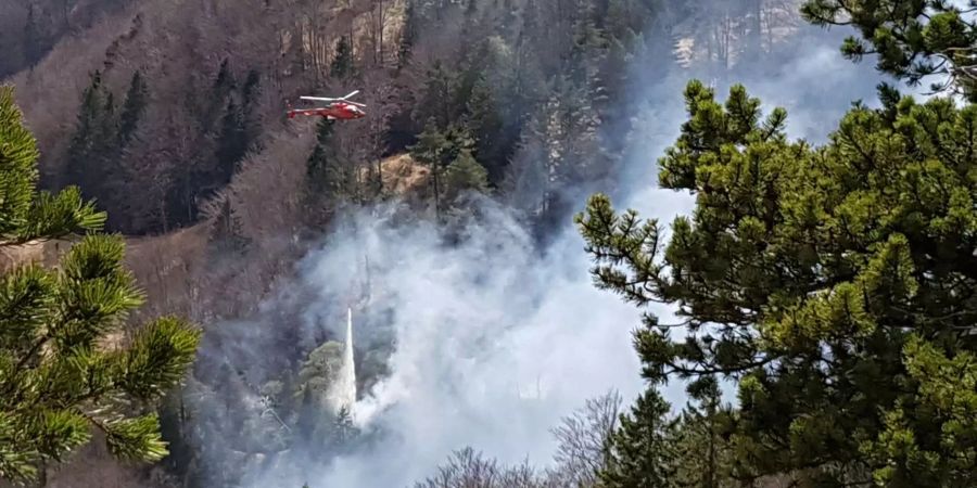 Ein grösseres Waldstück ist am Hang in Brand geraten.