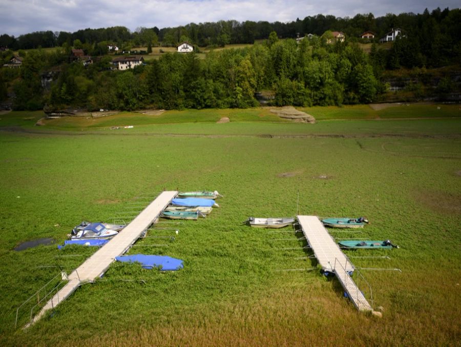 Versinken die kleinen Boote bald im Grünen?