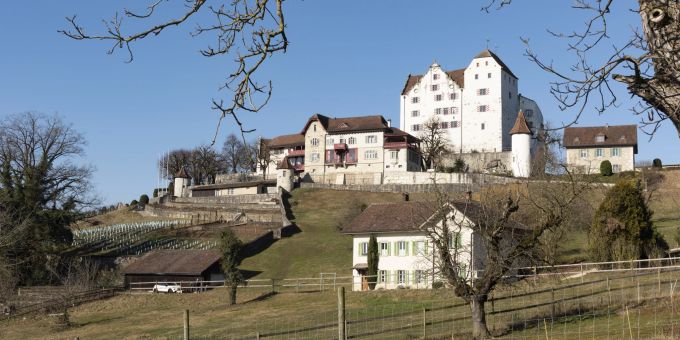 Das Schloss Wildegg liegt auf einem felsigen Ausläufer des Chestenberg und besteht aus einer gut erhaltenen Burg aus dem 12. Jahrhundert. Das Schloss Wildegg liegt auf einem felsigen Ausläufer des Chestenberg und besteht aus einer gut erhaltenen Burg aus dem 12. Jahrhundert.