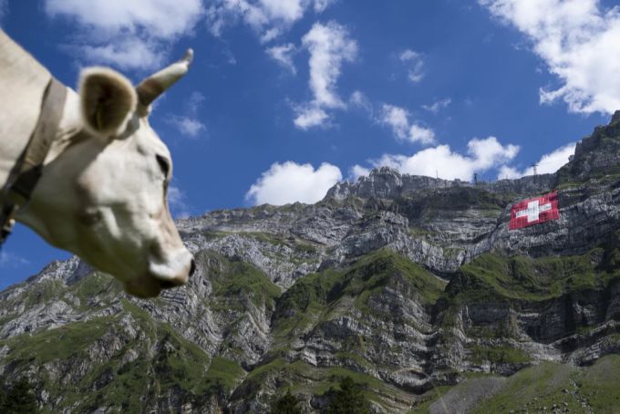 Die Schweizer Fahne am Säntis säntis